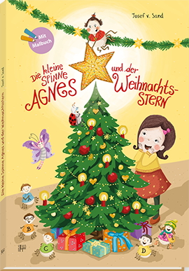 Buchcover Die kleine Spinne Agnes und der Weihnachtsstern